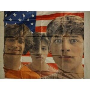 Stinolo Triplets American Flag 3x5ft New